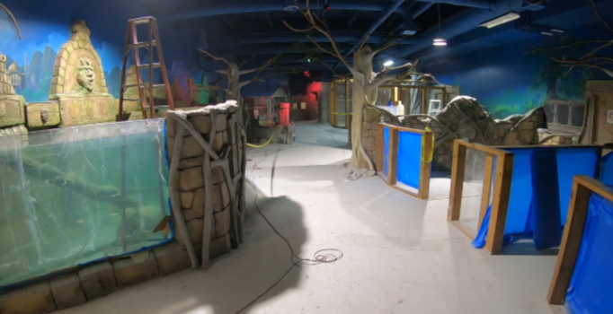 LIBERTY UNIVERSITY SEAQUEST AQUARIUM